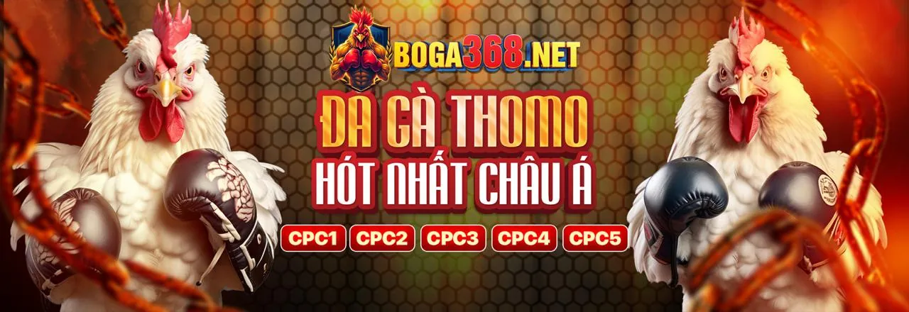 Các loại kèo và quy tắc đặt cược đá gà trực tiếp CPC3