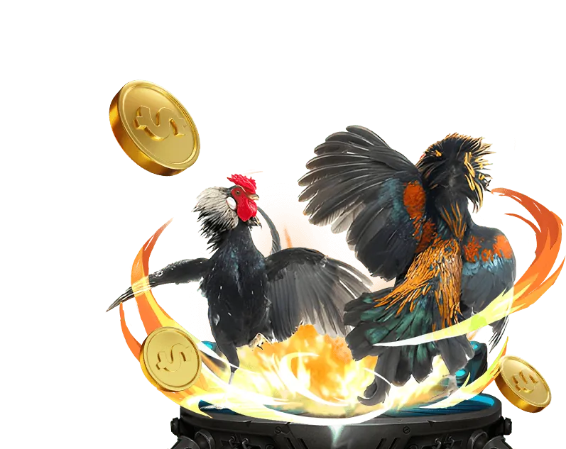 Hình ảnh minh họa các loại hình đặt cược đá gà