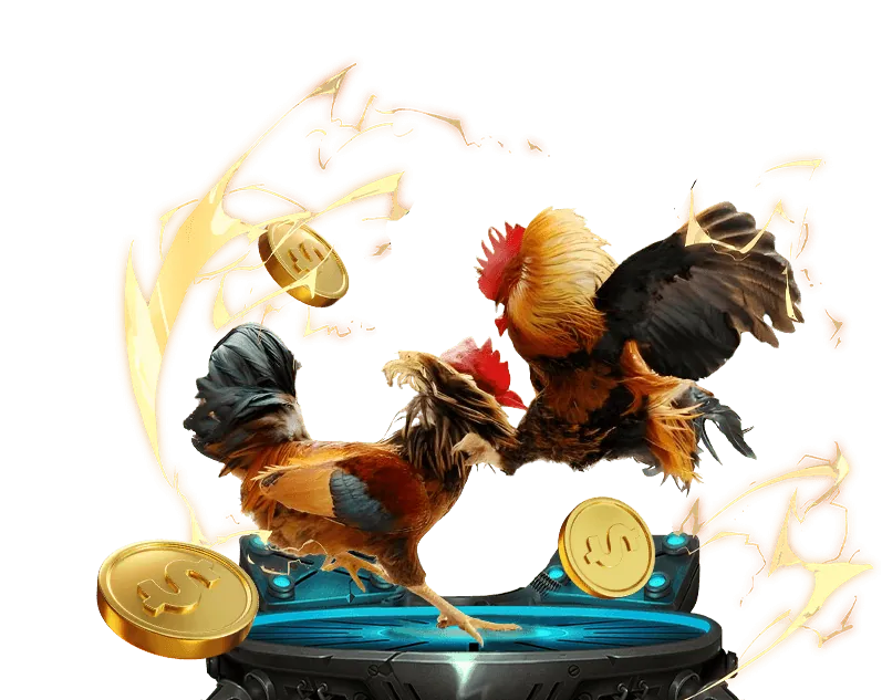 Quy trình chọn nền tảng đá gà trực tiếp